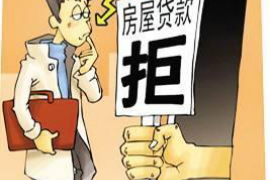 定兴如何避免债务纠纷？专业追讨公司教您应对之策